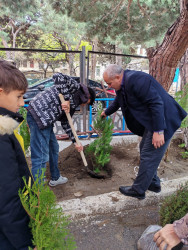 Zəngilan Rayon İcra Hakimiyyətinin təşkilatçılığı ilə ağacəkmə aksiyası davam etdirilir.