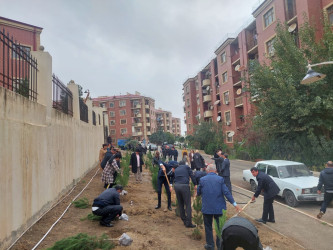 “Yaşıl dünya naminə həmrəylik ili” çərçivəsində növbəti ağacəkmə aksiyası keçirildi.