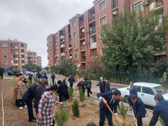 “Yaşıl dünya naminə həmrəylik ili” çərçivəsində növbəti ağacəkmə aksiyası keçirildi.