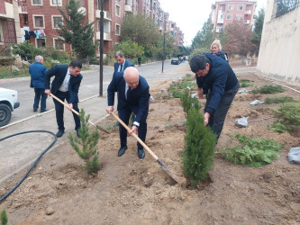 “Yaşıl dünya naminə həmrəylik ili” çərçivəsində növbəti ağacəkmə aksiyası keçirildi.