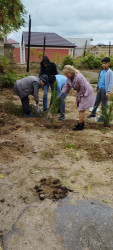 Zəngilan Rayon İcra Hakimiyyətinin təşkilatçılığı ilə ağacəkmə aksiyası davam etdirilir.