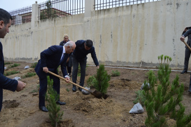 “Yaşıl dünya naminə həmrəylik ili” çərçivəsində növbəti ağacəkmə aksiyası keçirildi.