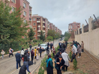 “Yaşıl dünya naminə həmrəylik ili” çərçivəsində növbəti ağacəkmə aksiyası keçirildi.