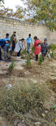 Zəngilan Rayon İcra Hakimiyyətinin təşkilatçılığı ilə ağacəkmə aksiyası davam etdirilir.