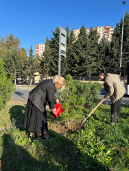 Zəngilan Rayon İcra Hakimiyyətinin təşkilatçılığı ilə növbəti ağacəkmə aksiyası keçirildi.