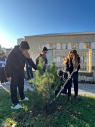 Zəngilan Rayon İcra Hakimiyyətinin təşkilatçılığı ilə növbəti ağacəkmə aksiyası keçirildi.