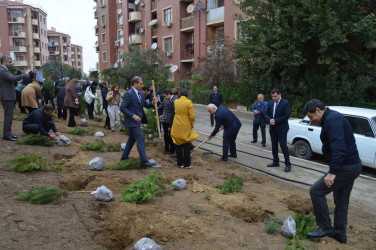 “Yaşıl dünya naminə həmrəylik ili” çərçivəsində növbəti ağacəkmə aksiyası keçirildi.