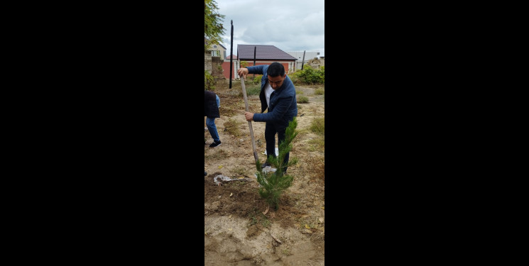 Zəngilan Rayon İcra Hakimiyyətinin təşkilatçılığı ilə ağacəkmə aksiyası davam etdirilir.