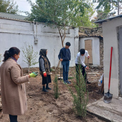 Zəngilan Rayon İcra Hakimiyyətinin təşkilatçılığı ilə ağacəkmə aksiyası davam etdirilir.