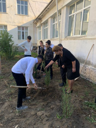 Zəngilan Rayon İcra Hakimiyyətinin təşkilatçılığı ilə ağacəkmə aksiyası davam etdirilir.